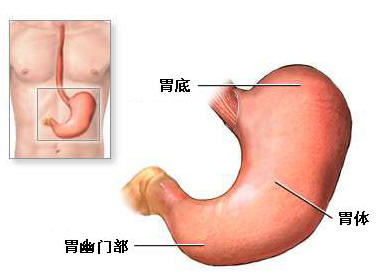 浅表性胃炎是什么病因引起的