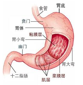 患上慢性胃炎会有什么病症出现