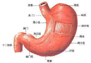 慢性糜烂性胃炎